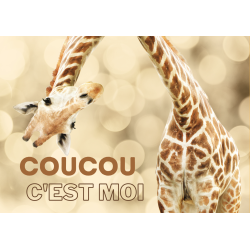 Carte Coucou c'est moi