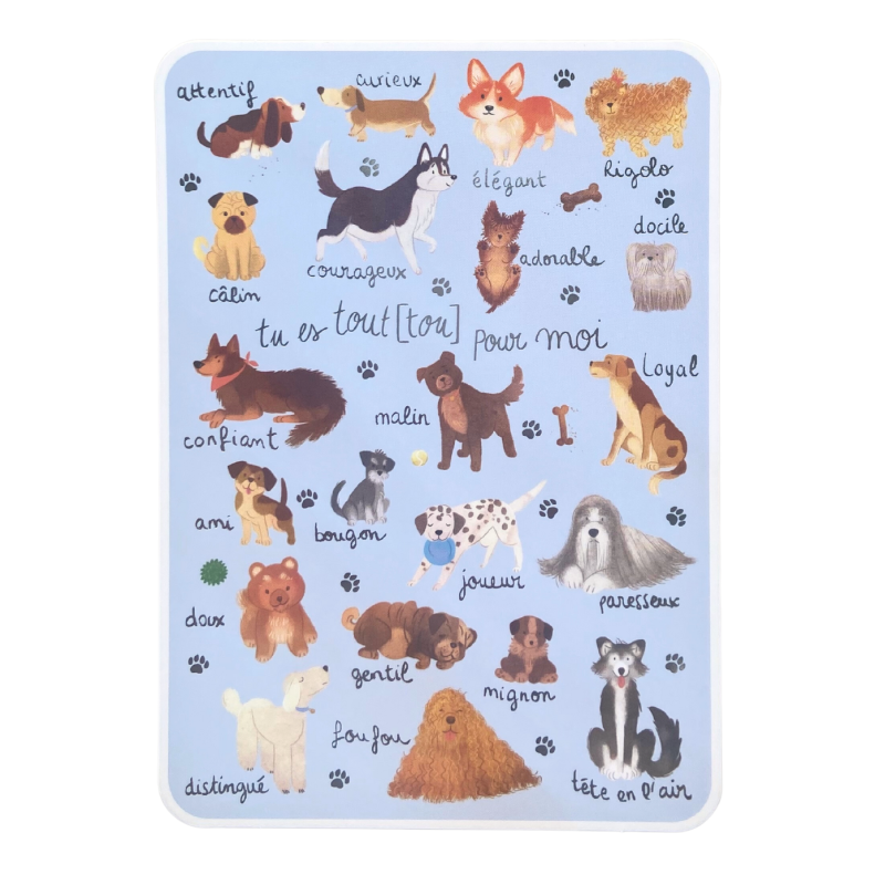 Carte Tu es Tout(tou) pour moi
