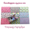 Enveloppe cadeau